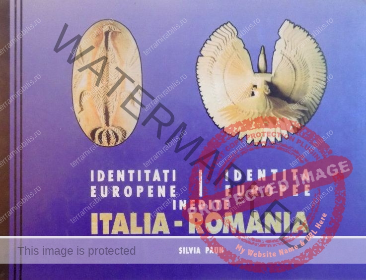 Silvia Păun - Identități europene inedite. Italia-România (coperta)