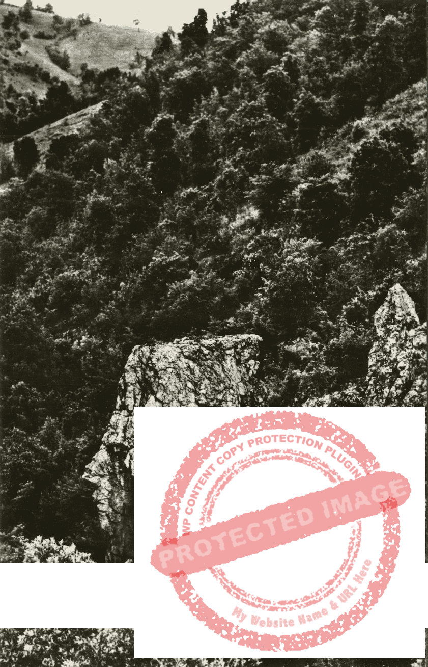 Sfinxul bănățean din Valea Cernei (carte poștală, foto: Gh. Voicu, CPCS)